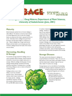 Postharvcabbage PDF