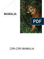 11-mammalia.pdf