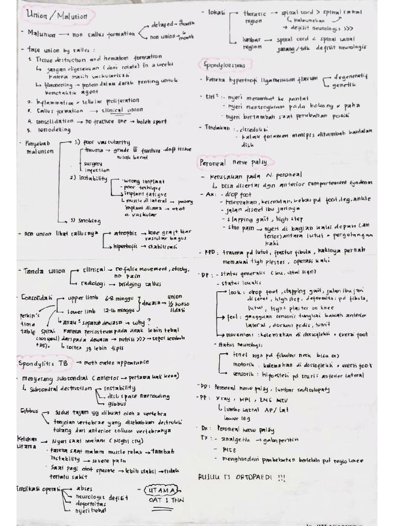 Catatan Ortho | PDF