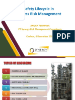 Safety Life Cycle & Process Risk Management - Synergy Dec 2019.pdf