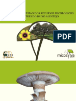 Manual Baixo Alentejo - Micosylva PDF