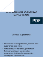 Semiologia de La Corteza Suprarrenal