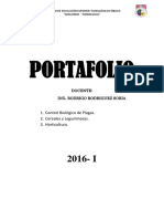 PORTAFOLIO.docx