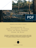 Determinantes do Desenvolvimento do Pinhal Bravo (1).pdf