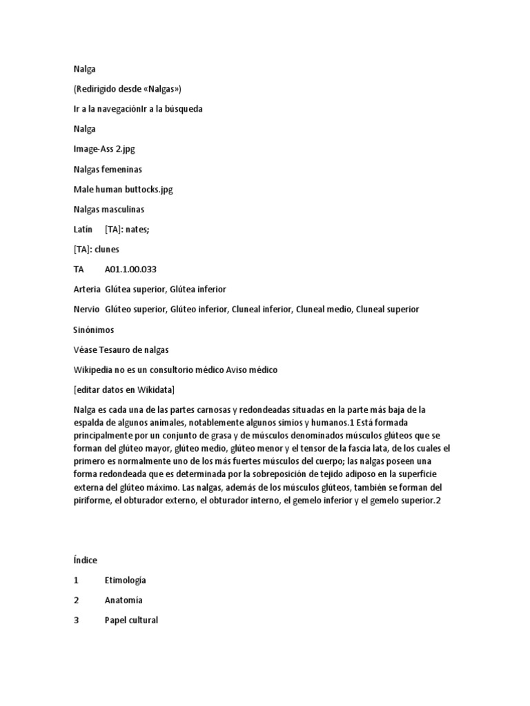 Anatomía y Cultura de las Nalgas | PDF | Nalgas | Anatomía humana, image size:768x1024