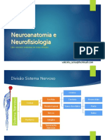 2-Neuroanatomia e Neurofisiologia
