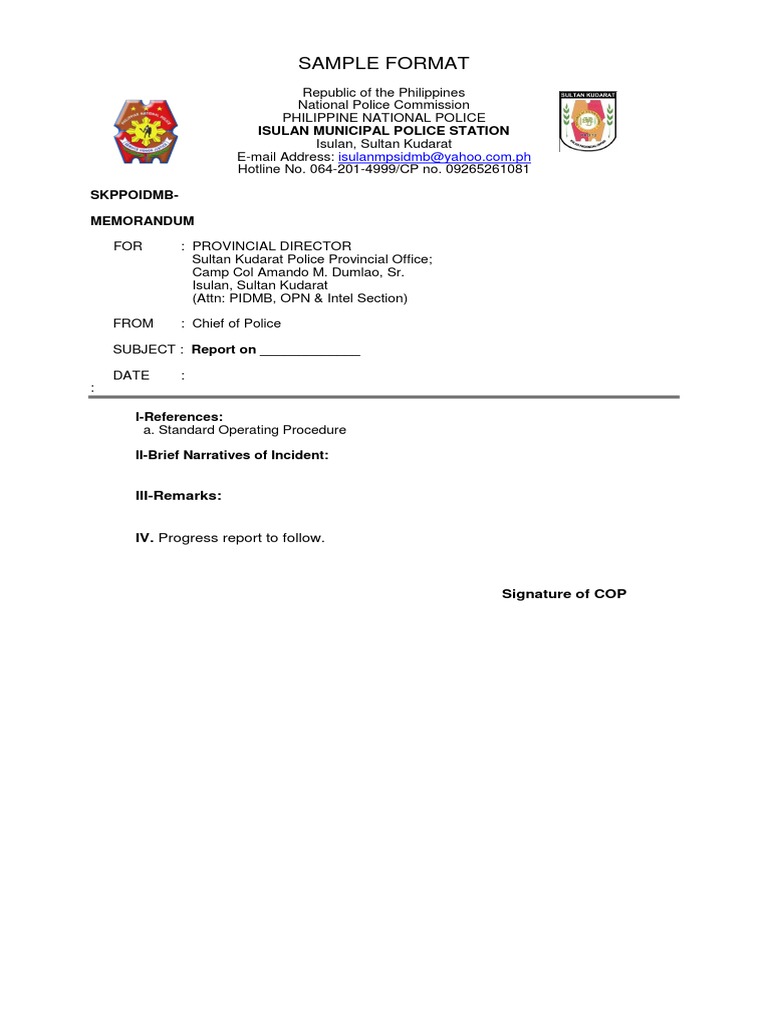 PNP Spot Report Sample Format | PDF