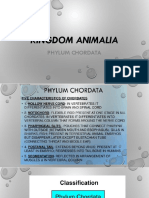 3.phylum Chordata