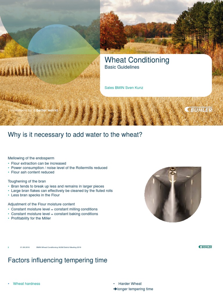 Wheat Conditioning Guidelines and Techniques | PDF | Nature