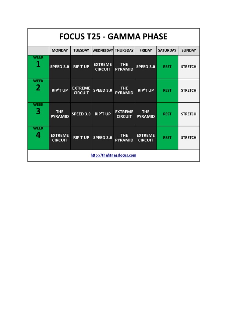 Focus T25 Gamma Phase | Pdf