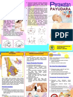 LEAFLET PERAWATAN PAYUDARA A4 Bolak B-Dikonversi