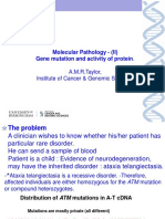 BioMedSci Taylor IMEG 8 2019.pdfnew.pdf