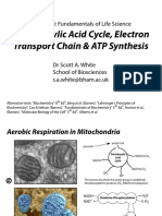 BMedSci_TCA_ETC_ATP_SAWhite_Oct2018.pdf