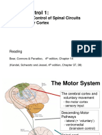 BSC Motor Systems I all slides on white 19-20.pdf