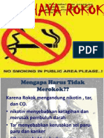 Bahaya Rokok