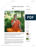Ways to Increase Life Force Prana Energy | Sivananda Yoga Farm