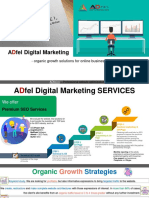 SEO Services ADfel Digital Marketing 2