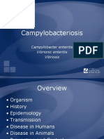 Campylobacteriosis.ppt