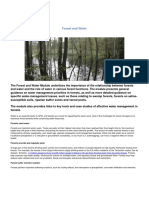 MPDF PDF