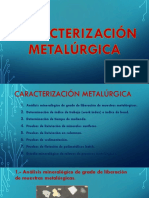 Caracterización Metalúrgica PDF