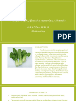 Pakcoy Hijau (Brassica Rapa Subsp