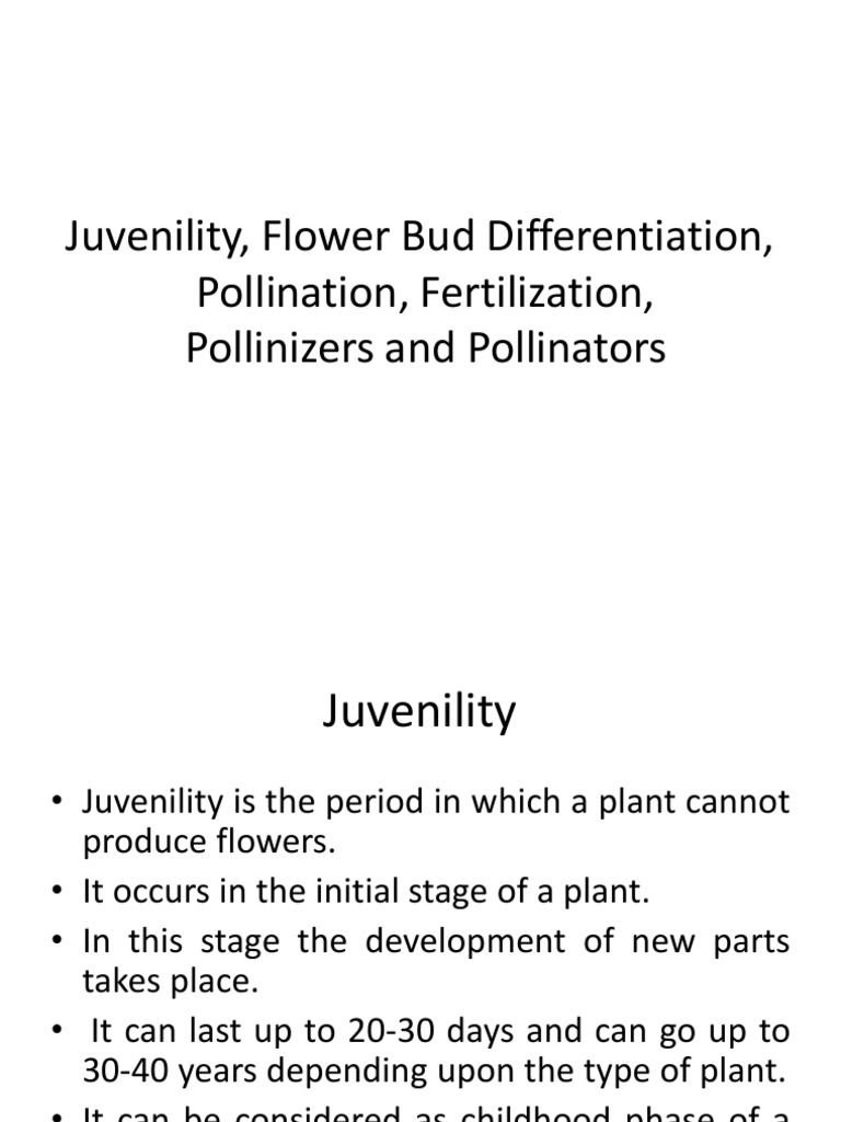 Understanding the Key Processes of Plant Reproduction Juvenility
