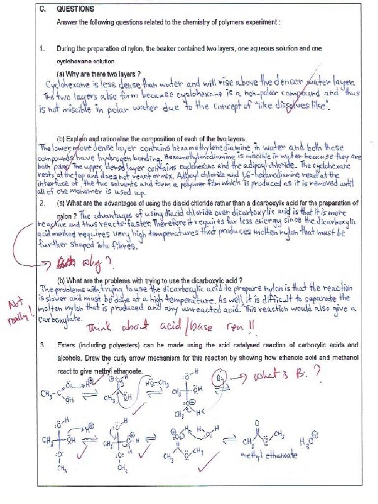 Chem 353 Polymers and Plastics Lab Page 3 | PDF