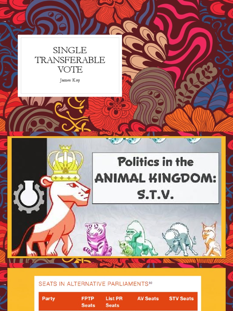 Meaning Of Single Transferable Vote In English – ZUOOYA