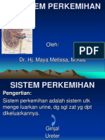 Sistem Perkemihan Dr. Hj. Maya Metissa, M.Kes