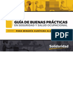 Guía de buenas prácticas en Seguridad y Salud Ocupacional para minería aluvial aurífera.pdf