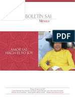 Boletín Sai 20 - Amor Sai: Hacia El Yo Soy