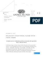 Decalcify Your Pineal Gland With These Herbs - Anima Mundi Herbals
