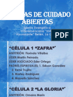 Celulas de Cuidado Abiertas