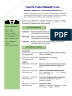 CV Raul Rabanal - Oct 2019 PDF