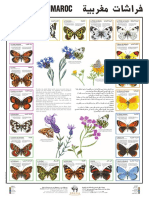 Papillons PDF