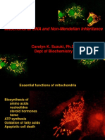 Lecture 35 Suzuki mtDNA