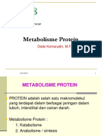 Metabolisme Protein Edit