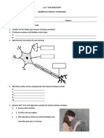 Examen CIENCIA Y TECNOLOGIA Junio