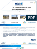 TGS - Gas No Convencional