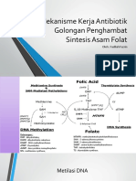 Antibiotik Penghambat Sintesis Folat