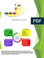 Disciplinas Operativas 2017