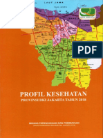 Profil Kesehatan DKI Tahun 2018 PDF