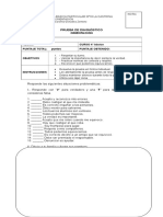 diagnostico orientacion 4°