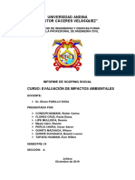 Informe de Scoping Social UNIANDINA Facultad Ingenierías