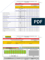 Programa inspecciones SSO 2015