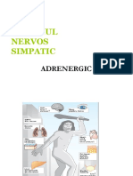 Curs 6 Adrenergic PDF