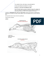 RTIQ-Carnes-completo.pdf