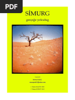 Simurg Gerceğe Yolculug PDF