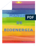 Manual de Bioenergia Módulo 2 (1).docx