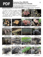 1196_brazil_fungi_of_parque_da_cidade.pdf